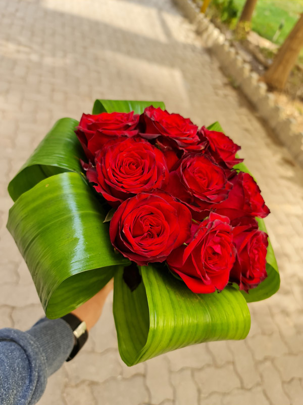 Q-web دسته گل رز هلندی