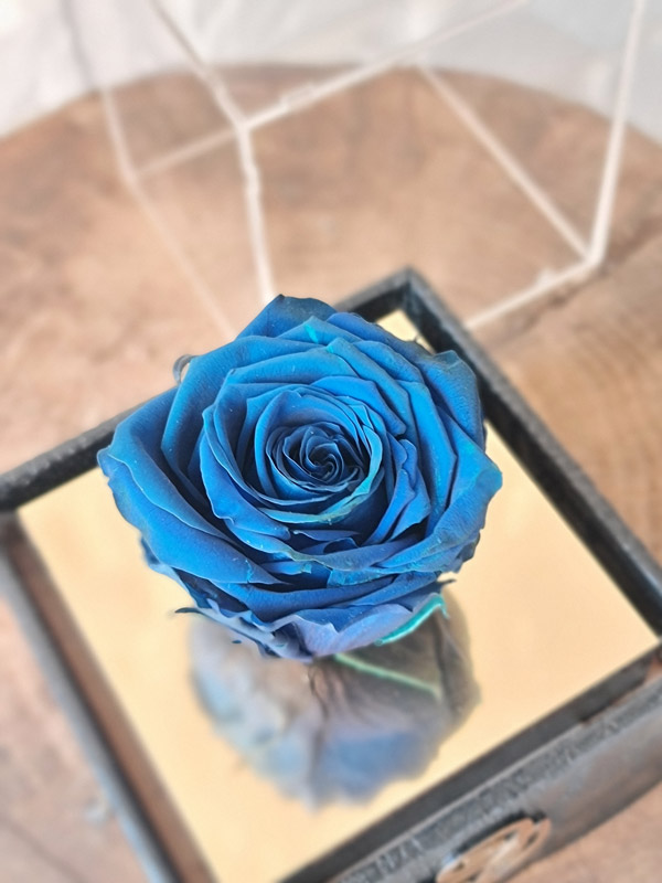 1-web