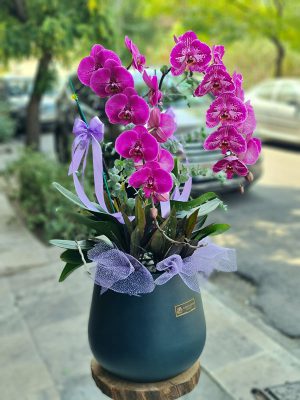 گلدان ارکیده لاکچری
