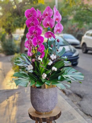 گلدان ارکیده لاکچری