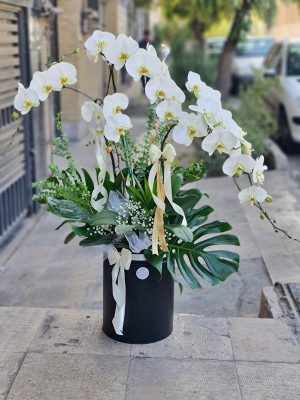 گلدان ارکیده 4 شاخه
