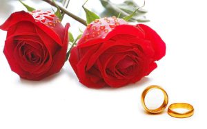 رنگ مناسب برای گل خواستگاری چه رنگی است؟
