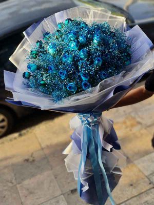 ژیپسوفیلا آبی