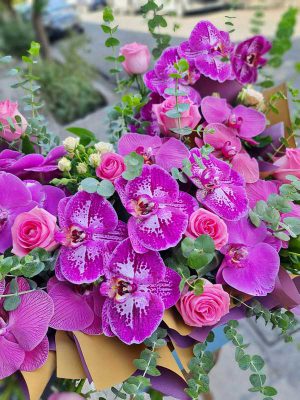 دلایل محبوبیت گل ارکیده در دنیا