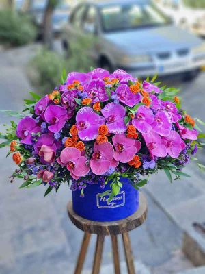 دمای مناسب گل ارکیده