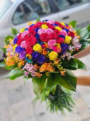 نماد رنگ های محتلف رز هلندی