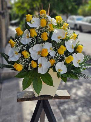 راهنمای خرید و نگهداری از گلدان گل ارکیده