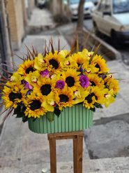 زیباترین باکس گل آفتابگردون!