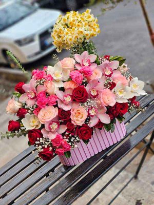 خرید باکس گل رز هلندی